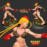 MN115 - Games character design, the cammy from street fighter, bikini version, 3d stl print file