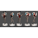 S013 - Comic character design, The Harley Quinn Bunny Version - SFW / NSFW - STL 3D Model design print download files