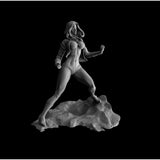 S007 - Comic Character design, The Wonder Women Sexy body Statue - DC - STL 3D Model Print download file