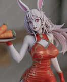 B508 - Female Character design, Bunny chinese dress Nsfw, 3d stl model design download link