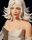 TU176 - Legendary Character design,Black Cat，3d STL resin print download files