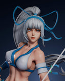 Mina Majikina from the Samurai Shodown - High Detail Character for Resin Printing, 3d stl file print download ( Y037 )