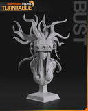 TU180 - Legendary Character design,Jenova Final Fantasy 7 ，3d STL resin print download files