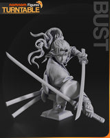 TU013 - Character design, Samurai cat girl , 3d stl resin print files