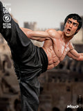 Bruce Lee The Legendary Hero - High Detail Character for Resin Printing, 3d stl file print download ( Y033 )