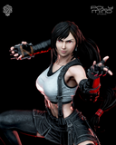 Tifa Lockheart From the Final Fantasy 7 - High Detail Character for Resin Printing, 3d stl file print download ( Y040 )