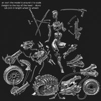 B049 - Legendary character design, Cyber metal biker chick, Sexy biker character design, STL 3D model design print