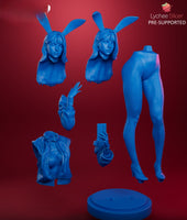 R118 - Anime character design, the bunny fumiko, waifu 3d stl file instant download