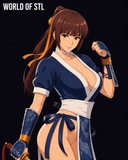 Kasumi from the Dead or Alive ，Legendary Character design, 3d STL resin print download files (TU221)