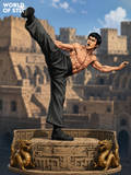 Bruce Lee The Legendary Hero - High Detail Character for Resin Printing, 3d stl file print download ( Y033 )