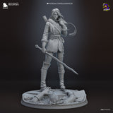 TU241 - Legendary Character design, Ciri The Witcher ，3d STL resin print download files