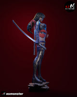 TU118 - Female Character design, Psylocke P1&P2 ，3d STL resin print download files
