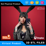R118 - Anime character design, the bunny fumiko, waifu 3d stl file instant download