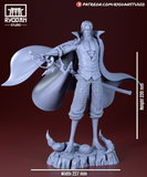 ANI111 - Legendary Character design, Shanks From One piece，3d STL resin print download files