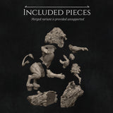 MAN191 - Legendary Character design, Heracles and Nemean Lion ，3d STL resin print download files