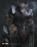 MAN177 - Legendary Character design, Wolverin  ，3d STL resin print download files