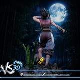 Tenchu: Stealth Assassins (Ayame)  - High Detail Character for Resin Printing, 3d stl file print download ( Y041 )