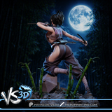 Tenchu: Stealth Assassins (Ayame)  - High Detail Character for Resin Printing, 3d stl file print download ( Y041 )