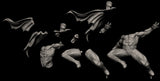 NW003 - Comic character desifn, DC batman and robin, 3d stl print files