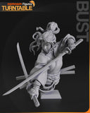 TU013 - Character design, Samurai cat girl , 3d stl resin print files