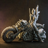 B049 - Legendary character design, Cyber metal biker chick, Sexy biker character design, STL 3D model design print