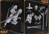 TU013 - Character design, Samurai cat girl , 3d stl resin print files