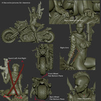 B049 - Legendary character design, Cyber metal biker chick, Sexy biker character design, STL 3D model design print