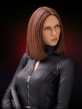 MN024 - Marvel character design, Black Widow - The Return of the First Avenge, 3d stl resin print download files