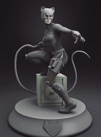 F520 - Comics character design , A cat women with safe , STL 3D model design print download file