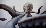 B021 - Creature Design, Release the Kraken, STL 3D model design print