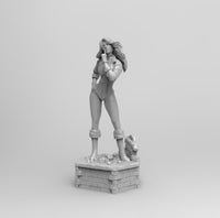 F502 - DC comic heroes , Sexy female character Black Canary, STL 3D model design download print files