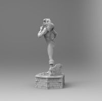 F502 - DC comic heroes , Sexy female character Black Canary, STL 3D model design download print files