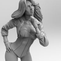 F502 - DC comic heroes , Sexy female character Black Canary, STL 3D model design download print files