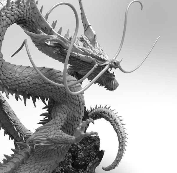 Dragon 3D Models for Download