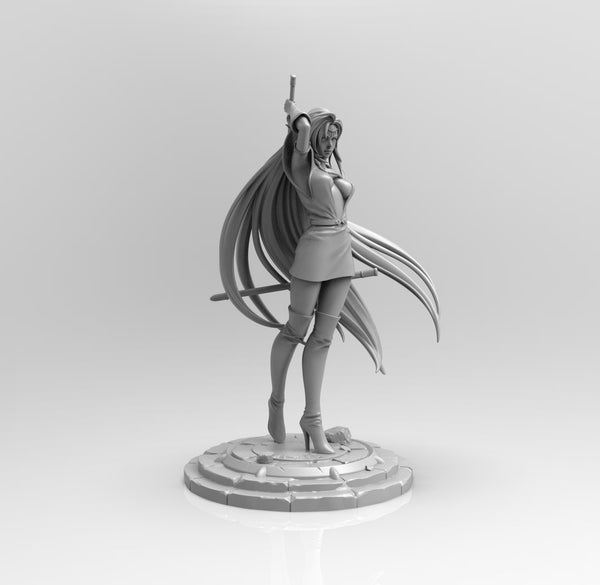 A734 - Anime character design, The hot Pirotess of the cystania, STL 3D model design print download files