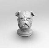 A749 - Animal dog bust design, The Bulldog bust statue, STL 3D model design print download files