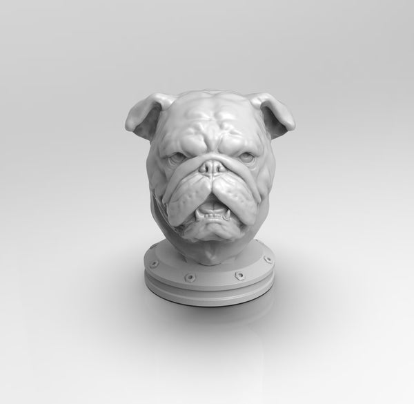 A749 - Animal dog bust design, The Bulldog bust statue, STL 3D model design print download files