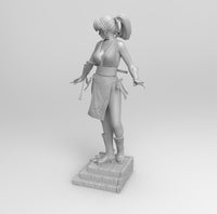 B184 - Games character  design, Hot kasumi ninja DOL,STL 3D model design print download file