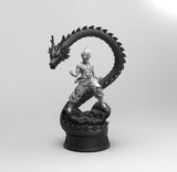 A662 - Anime character design, The Dragon with wu kong ,STL 3D model design print download files