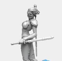 E281 - Shinobi character design, The Hot and sexy Shinobi with two katana statue, STL 3D model design print download fil