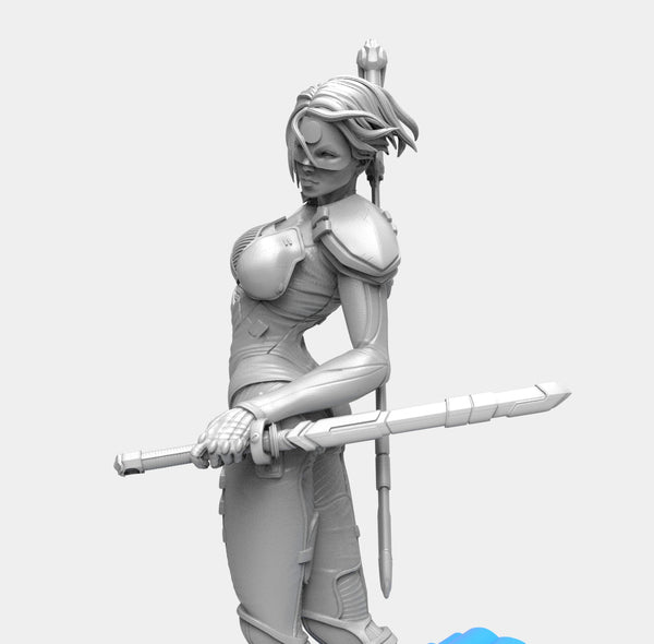 E281 - Shinobi character design, The Hot and sexy Shinobi with two katana statue, STL 3D model design print download fil