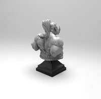 E341 - Legendary design bust, The orc warrior bust design statue, STL 3D model design print download files