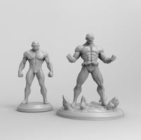 D009 - DBZ Anime Character , Jiren the Grey, STL 3D model design print