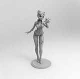 A113 - Comic character design, The Cat and the mouse , DC characters STL 3D model design print download file