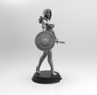 E498 - Comic Character design, The Wonder Women Statue With Shield, STL 3D model design print download files