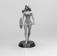 E498 - Comic Character design, The Wonder Women Statue With Shield, STL 3D model design print download files