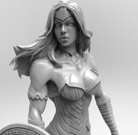 E498 - Comic Character design, The Wonder Women Statue With Shield, STL 3D model design print download files