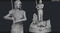 E560 - Games character design statue, The Withcer Hunter ciri biri statue, STl 3D model design print download files
