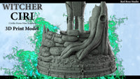 E560 - Games character design statue, The Withcer Hunter ciri biri statue, STl 3D model design print download files